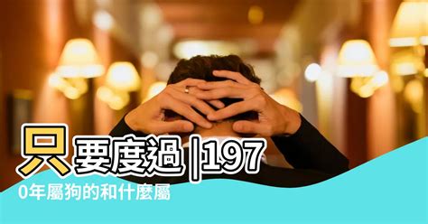 1994年屬什麼|1994是民國幾年？1994是什麼生肖？1994幾歲？